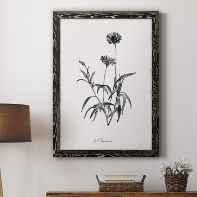 " Simply Imperial " Painting Print