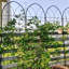 Ensemble de 2 treillis de jardin en métal 78,7 po x 19,7 po - Support pour plante grimpante antirouille avec 2 porte-pots chacun, treillis de fleurs pour patio, noir
