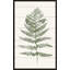 «Fern Print II» par Moira Hershey - impression-65864413-65864411