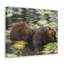 No Frame Print on Canvas-910847690