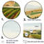 Vineyard Scenery Landscape Beauty II - ensemble d'art mural sur toile Vineyard-107765320-107765325