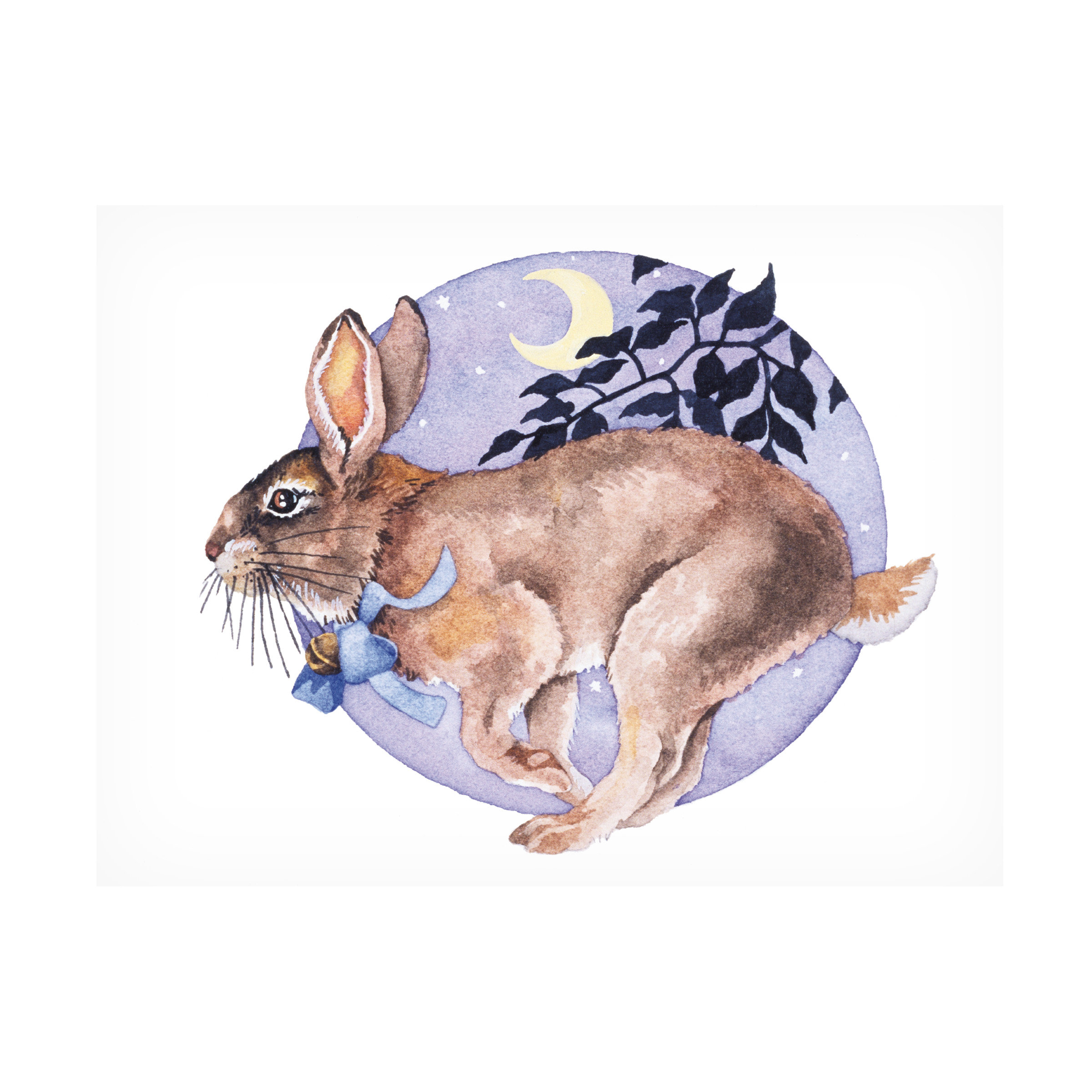 Trinx Wendy Edelson 'Rabbit' Canvas Art ALI63180 - Wayfair Canada