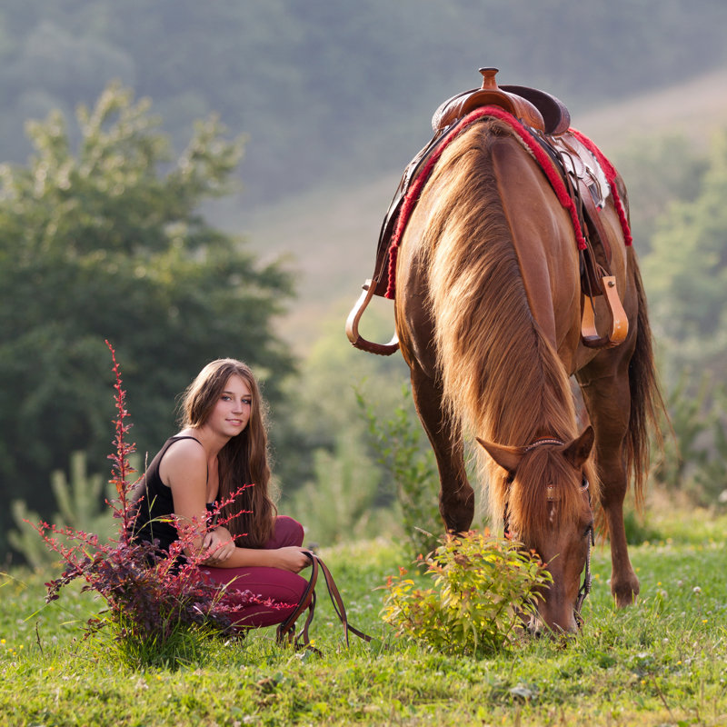 Young Girl With A Horse by Maros_bauer - Wrapped Canvas Print, 30cm H x 30cm W