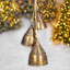 Assortiment de décorations en forme de cloche en fer à suspendre trois pièces "Blanfordia argent" (ensemble de 7)-1460819747