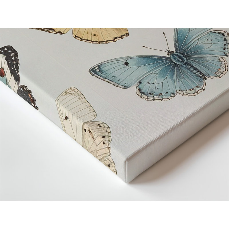 Une délicate toile de style scientifique illustrant une collection de papillons disposés de qualité supérieure prête à être accrochée