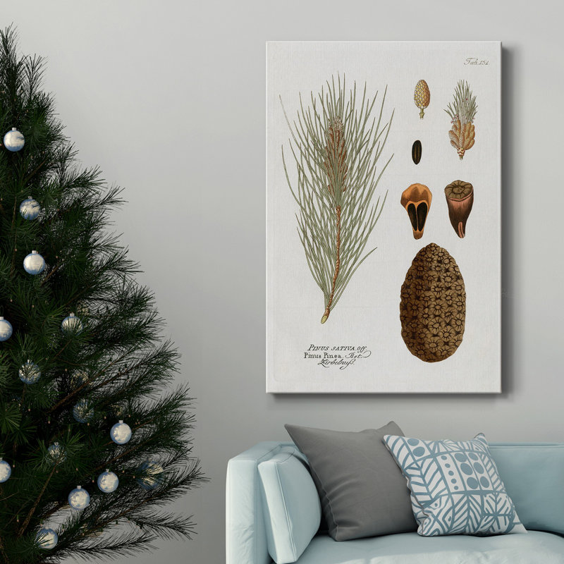 Toile tendue avec châssis Botanical Pine, H 60 po x l 40 po x P 1 po