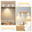 Shelvia Spotlight-612993385