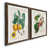 Papier, cadre noyer
