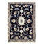 Raunel Hand Woven Cotton and Wool Oriental Area Rug