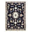 Raunel Oriental Area Rug