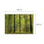 Autumn Forest 2.54m x 366cm Wall Mural
