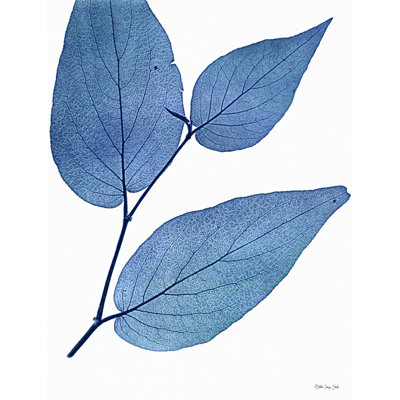 Indigo Nature Study II - impression sur toile tendue