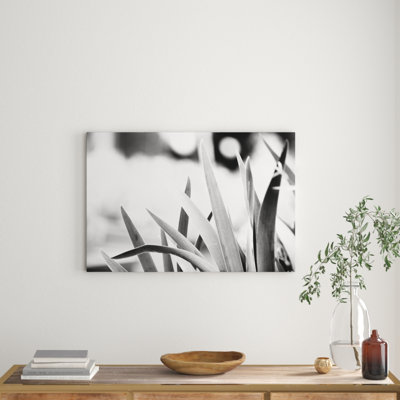 1 Piece Wrapped Canvas Wall Art