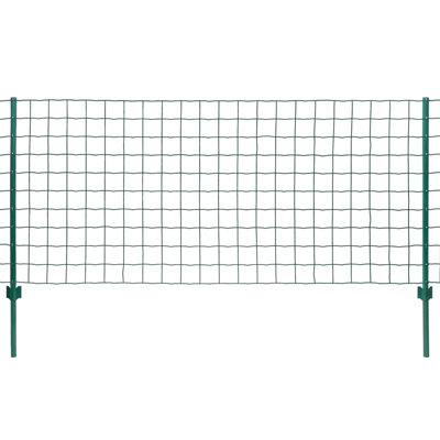 78.74 cm H x 787 cm W