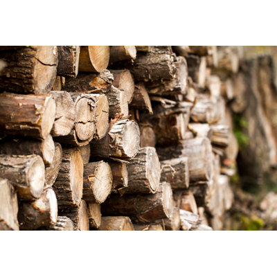 Winter Winter Wood - Photographie sur toile tendue