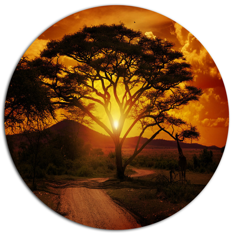 «African Sunset with Lonely Tree», reproduction de photo sur métal, H 36 po x l 36 po x P 1 po