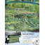 Le pont japonais par Claude Monet - reproduction d'art-354405813-354405834