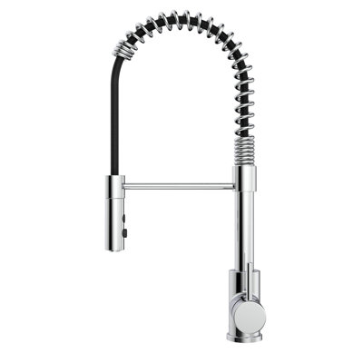 Keeney Belanger Pull Down Kitchen Faucet
