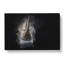 Rhino In The Shadows In Abstract - Wrapped Canvas Print-55337180