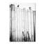 « freeed », reproduction sur toile tendue-23530100