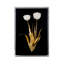 Porcelain Flower Black - C