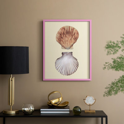 Reproduction encadrée de coquilles bivalves III - bois massif