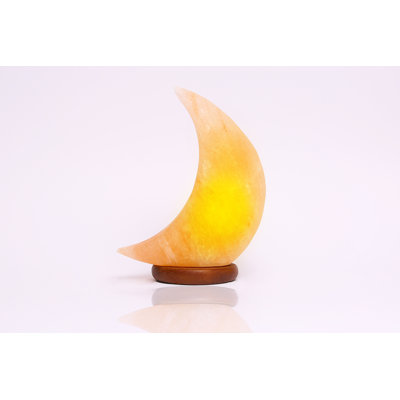 Schutz Moon 6 Ibs Salt Lamp