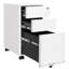 Alinne 30cm Wide File Cabinet-1654547404