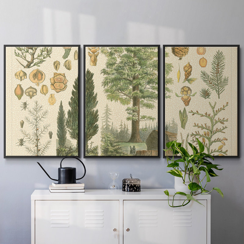 3 pièces de la collection Arbor