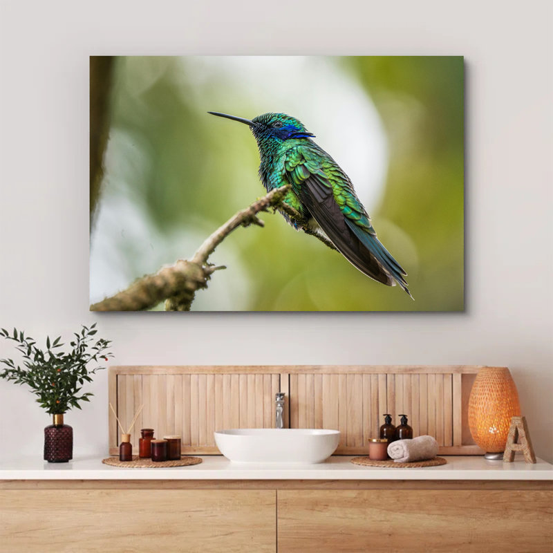 A Sparkling Violetear on a Branch, 8" H x 12" W