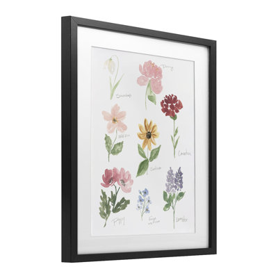 Labeled Flower Varieties Framed Print Under Glass, design by Lucille Price