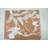 Plain Weave / Muslin Throw Blanket