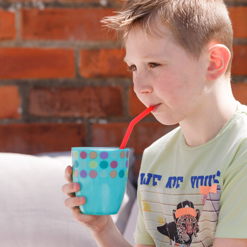 Echo Three Reusable Straws