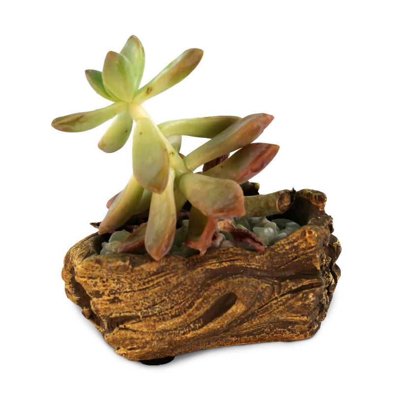 Kellems Ceramic Statue Planter
