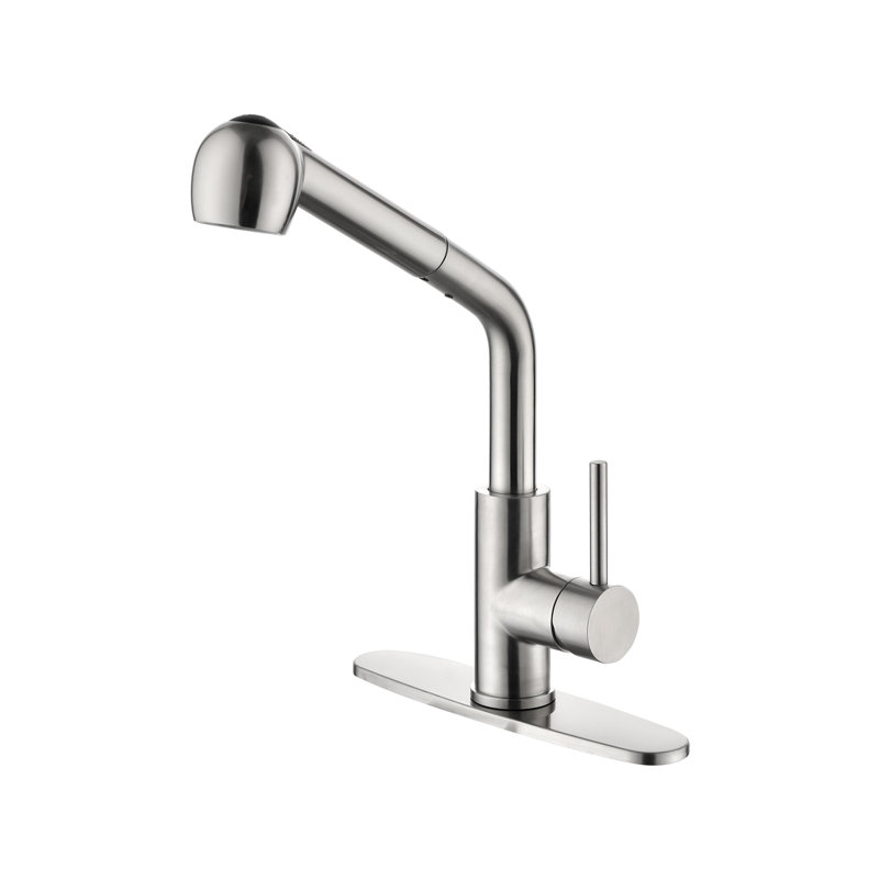 Brushed Nickel Single Handle Pull-out Spray Kitchen Faucet