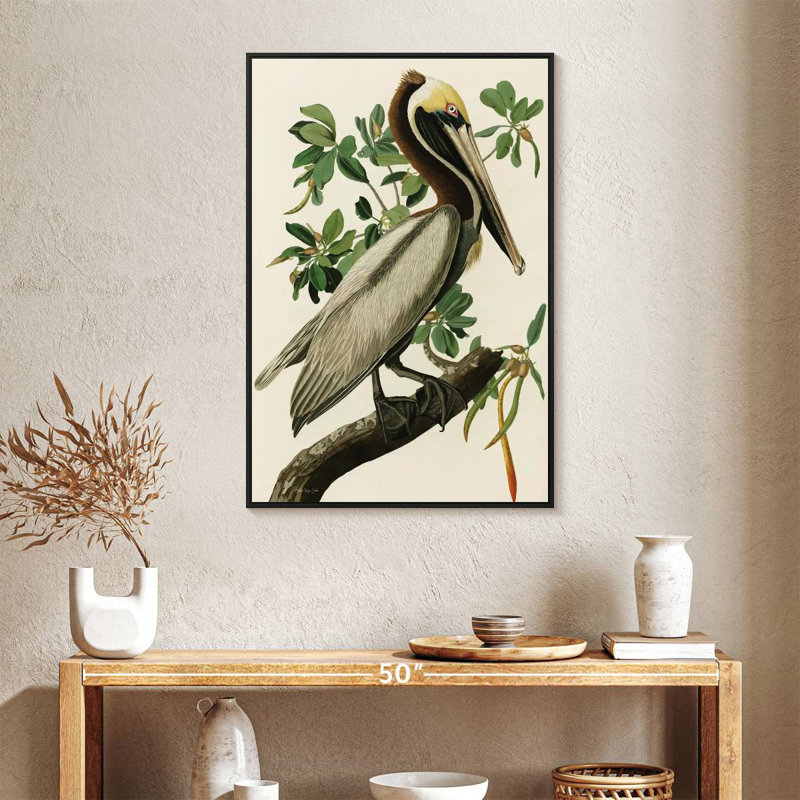 Pélican Audubon, 25 po x 37 po, Cadre flottant noir