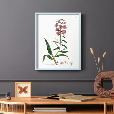 Rose Botanical I Framed Print - Solid Wood