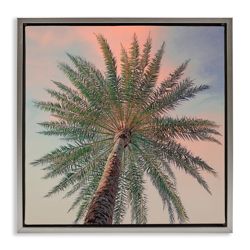 Cadre flottant Palm Up Against Sunset, design par Susan Jill, Cadre flottant gris lustré, H 18 po x l 18 po