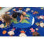 Tapis de classe KidCarpet World-523549206