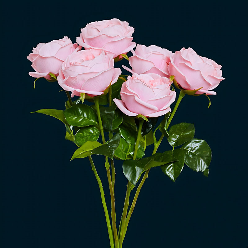 Arrangement de roses, Blanc