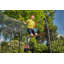 Salta Comfort Edition 251cm-69294544