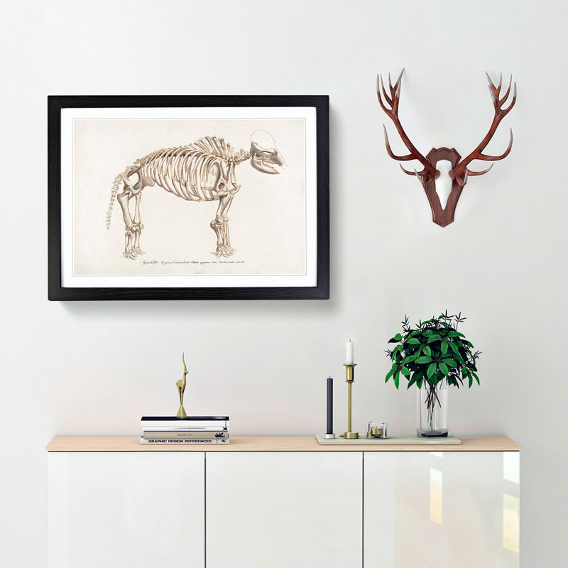 Mammoth Skeleton by Charles d' Orbigny - Picture Frame Graphic Art Print, Black Framed, 36cm H x 48cm W x 2cm D