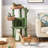 106.5 cm Height  Cactus Cat Tree