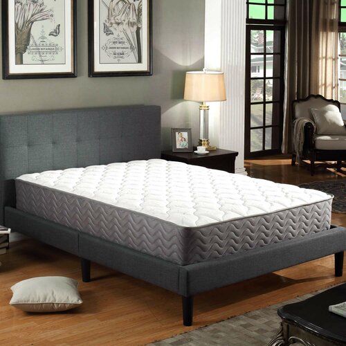 Alwyn Home 12'' Plush Mattress & Reviews | Wayfair