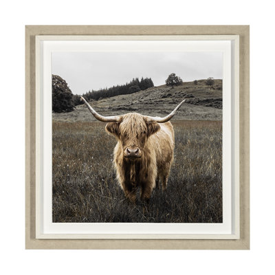 Bernie the Highland Cow - Framed Art Photograph Print Matted under Glass