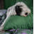 Etavonni Home Twilight Forest-337910698