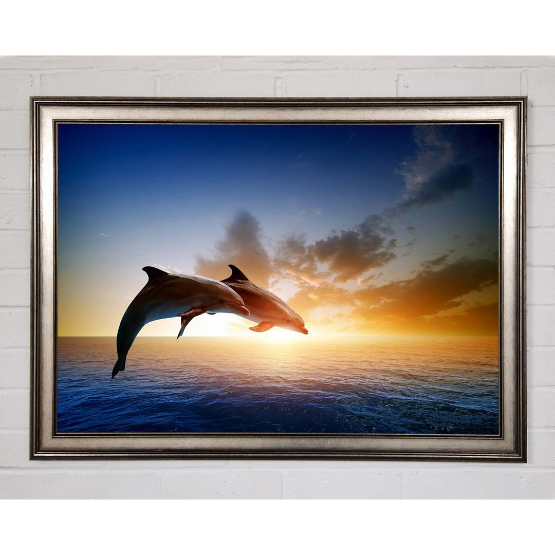 Gerahmtes Poster Jumping Sunset Dolphins