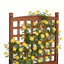 Jardinière surélevée en bois avec treillis, potager autoportant de 127 cm de haut sur roulettes, construction en sapin massif