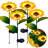 Low Voltage Solar Powered Integrated LED Pathway Light Pack
