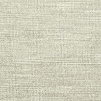 Velvet Encyclopedia I Volume I Fabric, Bisque